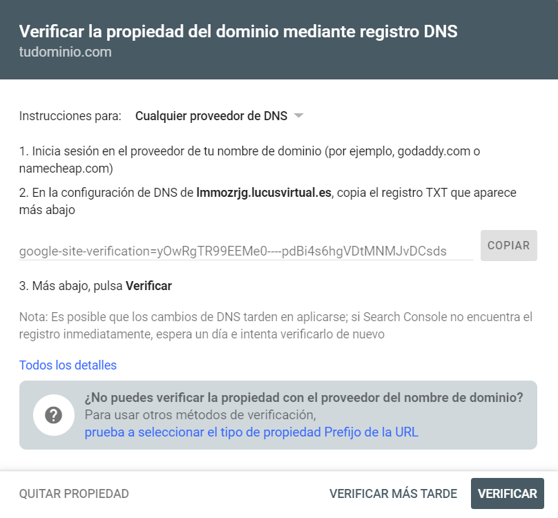 Cómo verificar un dominio en Google Search Console | Blog de LucusHost
